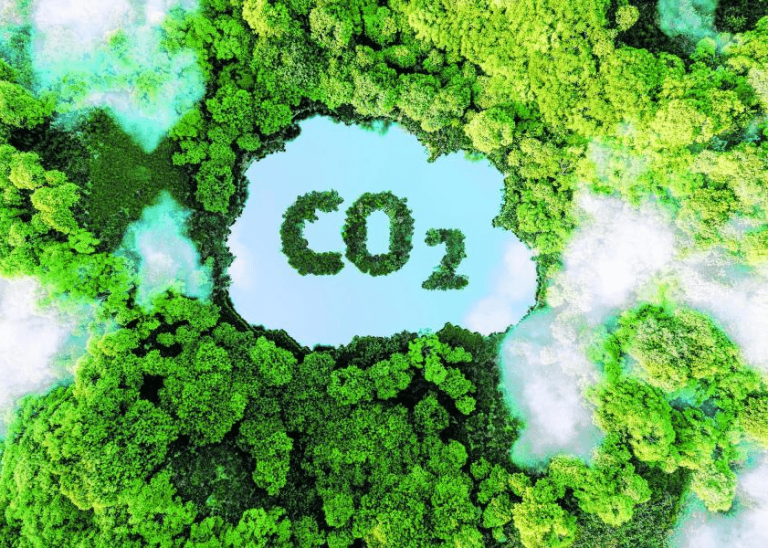 Iniciativas que adelanta la industria del gas para mitigar impactos ecológicos