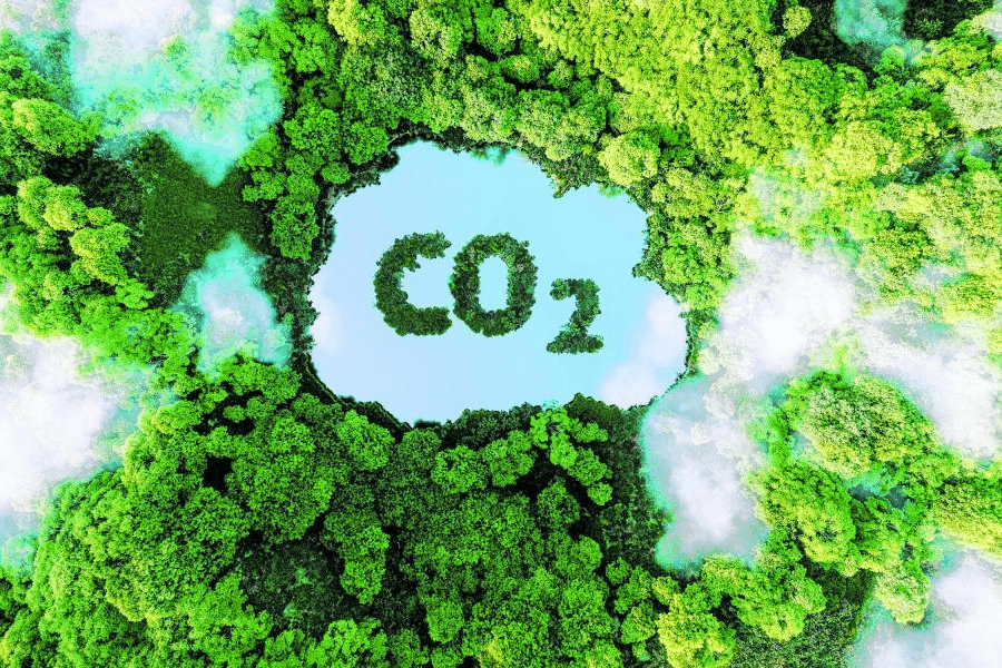 Iniciativas que adelanta la industria del gas para mitigar impactos ecológicos