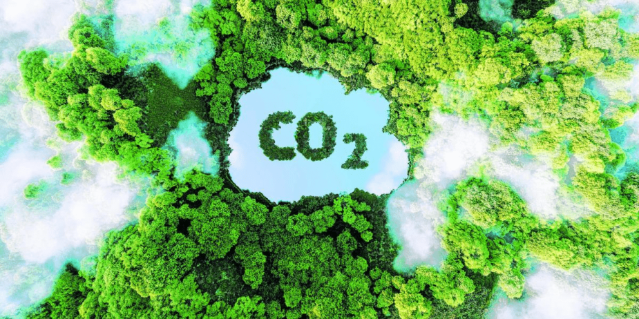 Iniciativas que adelanta la industria del gas para mitigar impactos ecológicos