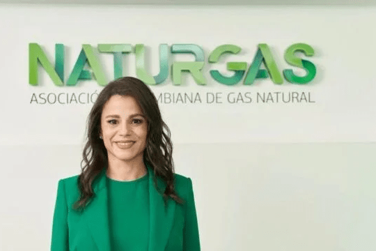 Naturgas destaca balance sobre las inversiones y aportes del sector en 2023