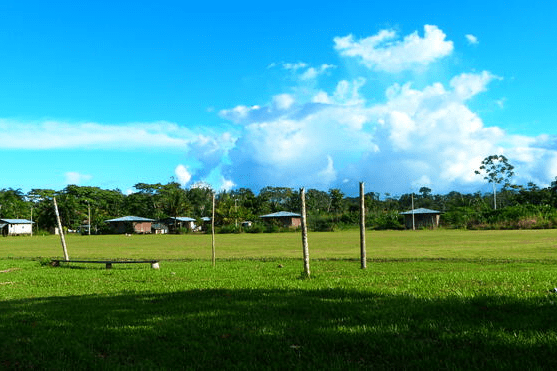 La promesa fallida del gas: Masificación de la indiferencia La promesa fallida del gas: Masificación de la indiferencia