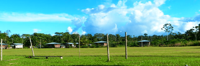 La promesa fallida del gas: Masificación de la indiferencia La promesa fallida del gas: Masificación de la indiferencia