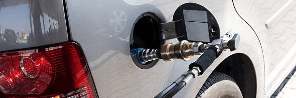 imagen_2024-09-29_025231849