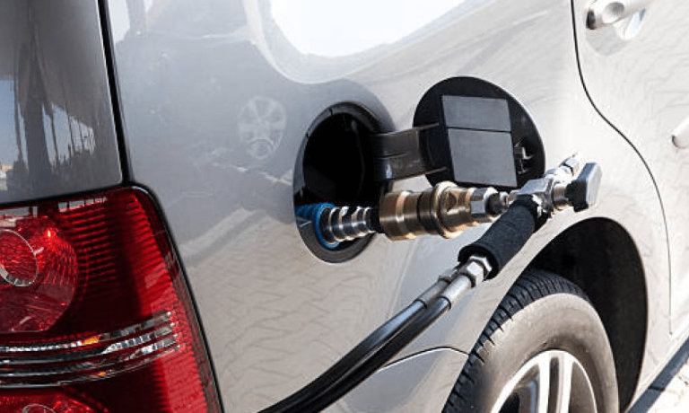 imagen_2024-09-29_025231849