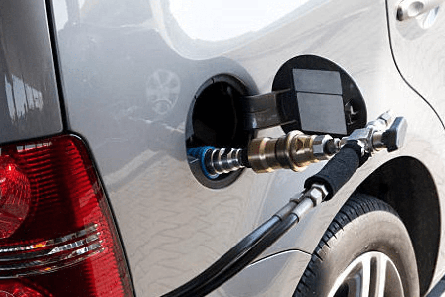 imagen_2024-09-29_025231849