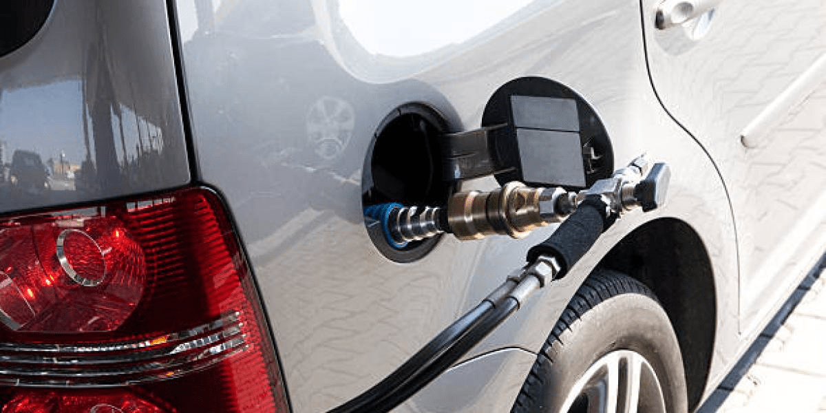 imagen_2024-09-29_025231849