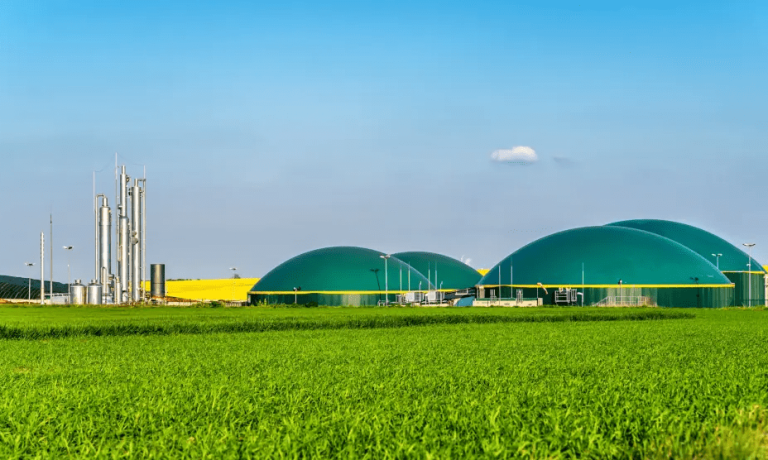 imagen_2024-09-29_025723284