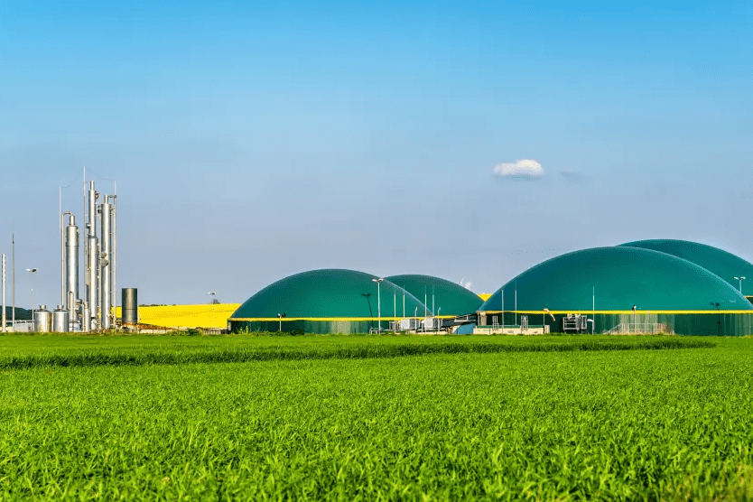 imagen_2024-09-29_025723284