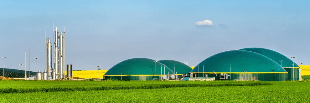 imagen_2024-09-29_025723284