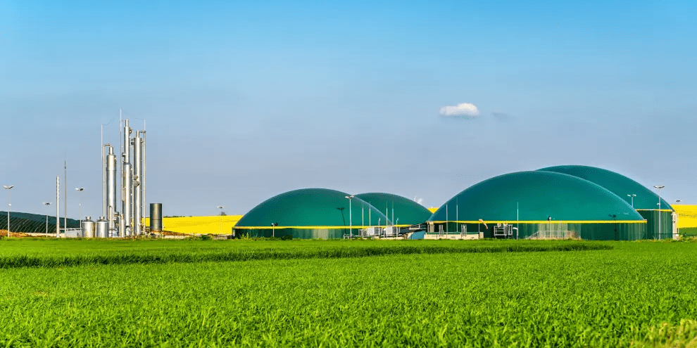 imagen_2024-09-29_025723284