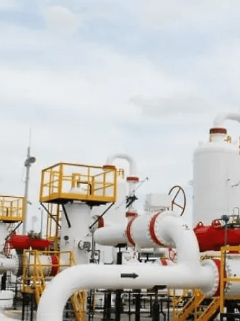 imagen_2024-10-14_124905291