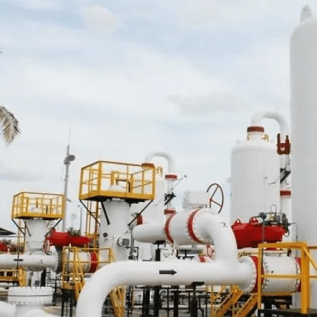 imagen_2024-10-14_124905291