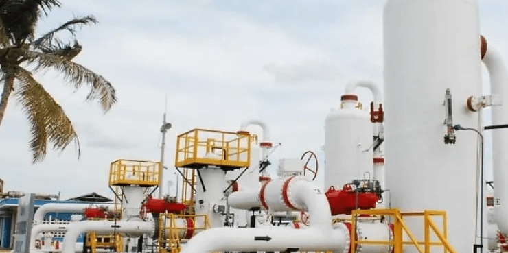 imagen_2024-10-14_124905291