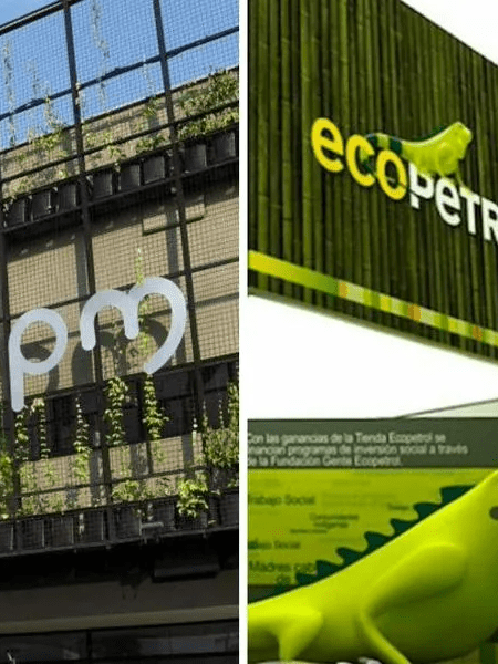 imagen_2024-10-14_125406315