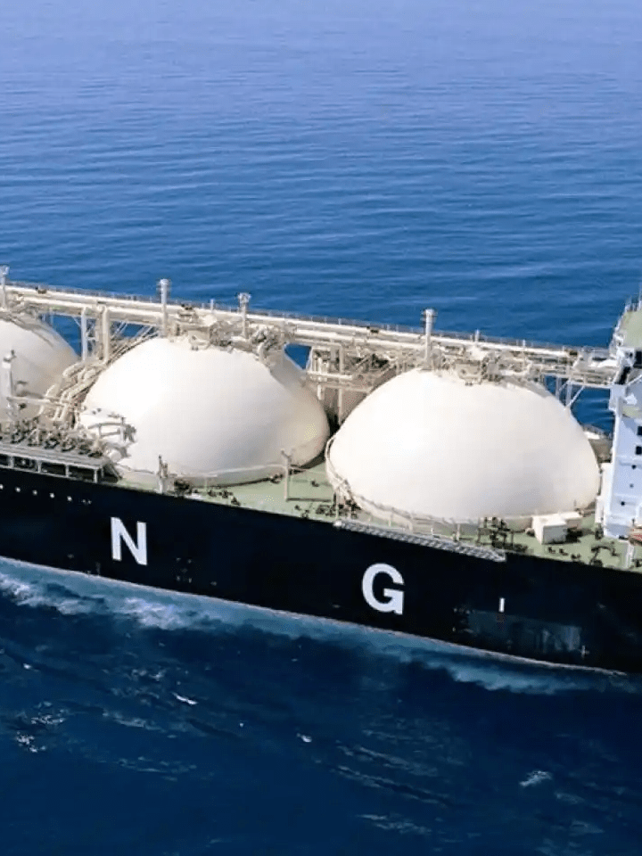 imagen_2024-10-14_130516416