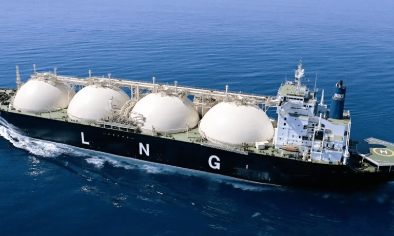 imagen_2024-10-14_130516416