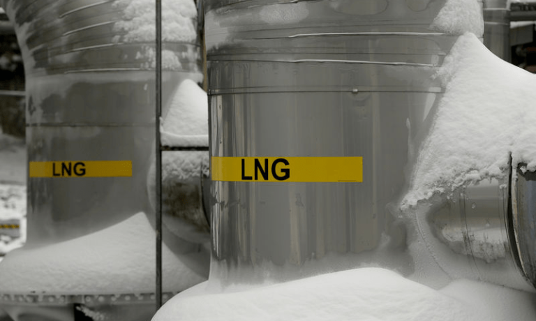 imagen_2024-10-14_131446714