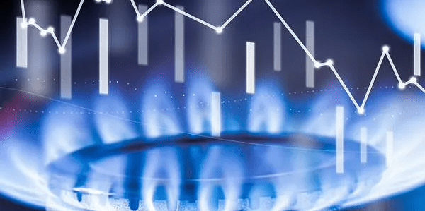 imagen_2024-10-18_134830024