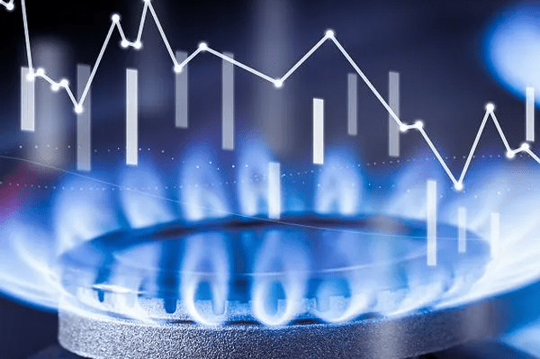 imagen_2024-10-18_134830024