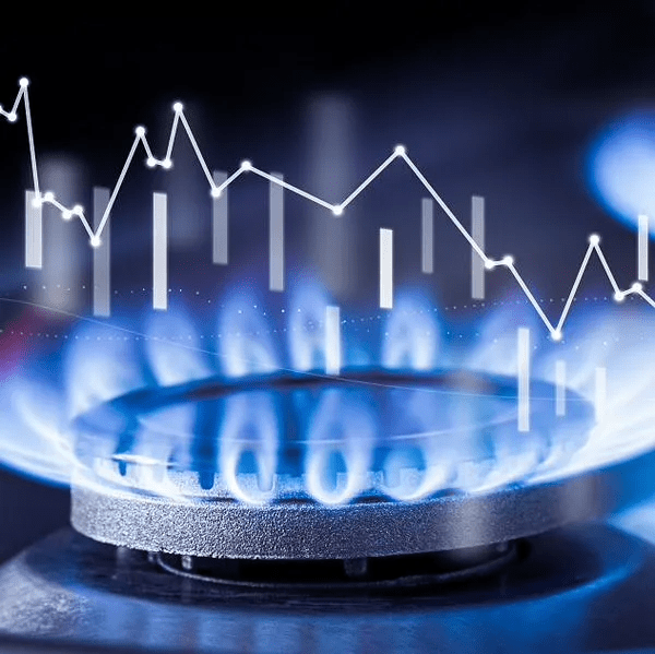 imagen_2024-10-18_134830024