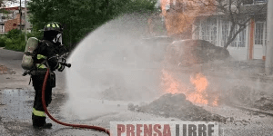 imagen_2024-10-19_014659226