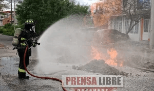 imagen_2024-10-19_014659226