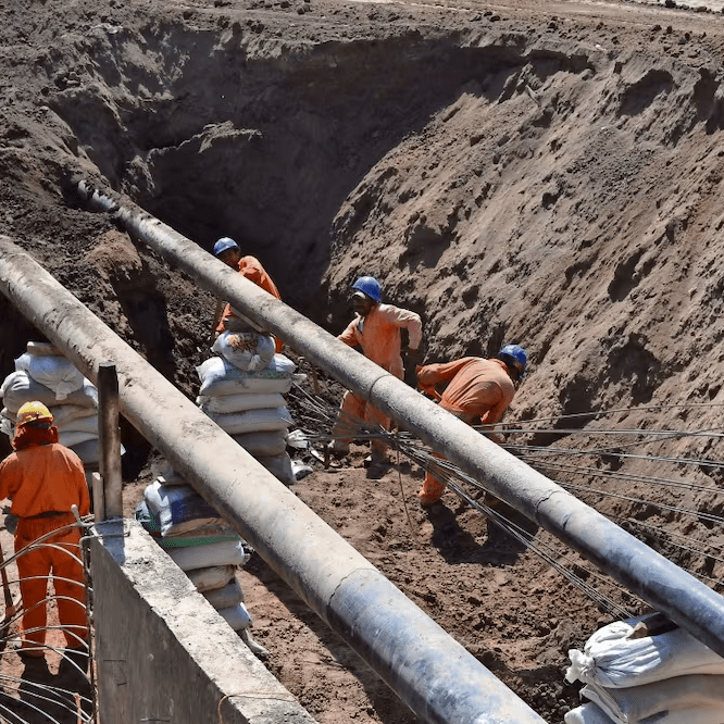 imagen_2024-10-19_020928950