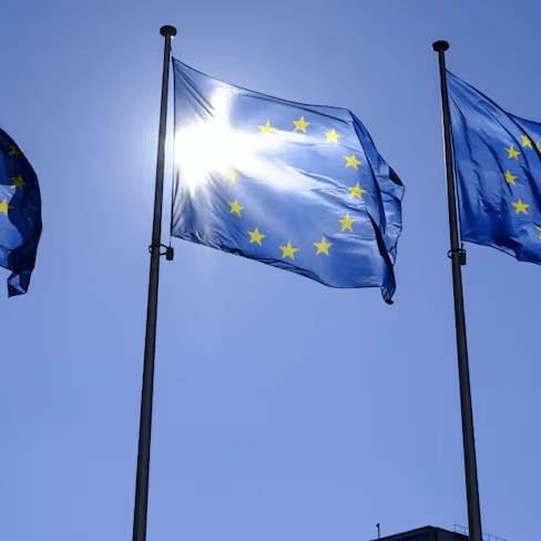 imagen_2024-10-19_021143716