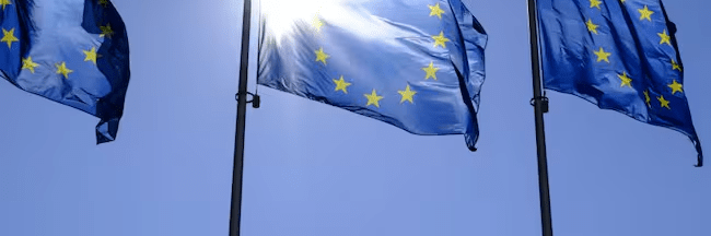 imagen_2024-10-19_021143716