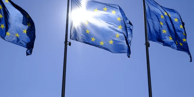 imagen_2024-10-19_021143716