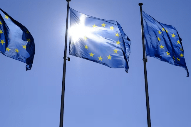 imagen_2024-10-19_021143716