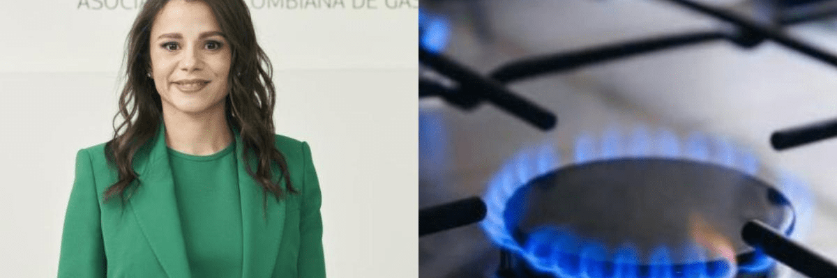 Presidenta de Naturgas dice que a ‘partir del 1 de diciembre de este año comenzará un déficit de gas natural’ Presidenta de Naturgas dice que a 'partir del 1 de diciembre de este año comenzará un déficit de gas natural'