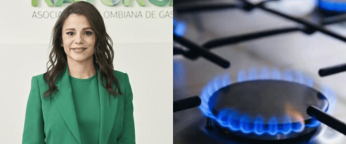Presidenta de Naturgas dice que a 'partir del 1 de diciembre de este año comenzará un déficit de gas natural'