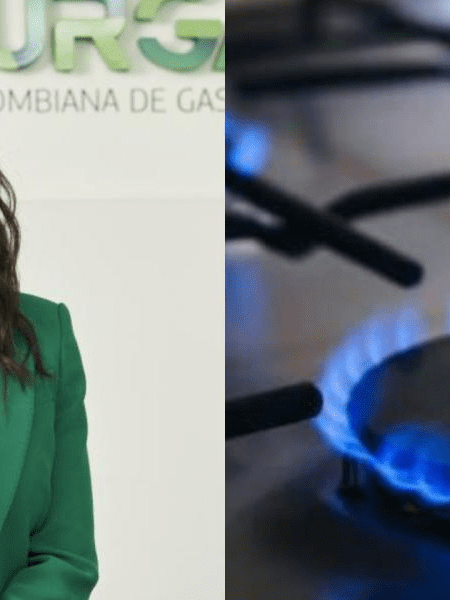 Presidenta de Naturgas dice que a 'partir del 1 de diciembre de este año comenzará un déficit de gas natural'
