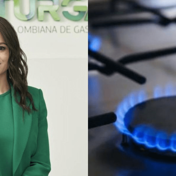 Presidenta de Naturgas dice que a 'partir del 1 de diciembre de este año comenzará un déficit de gas natural'