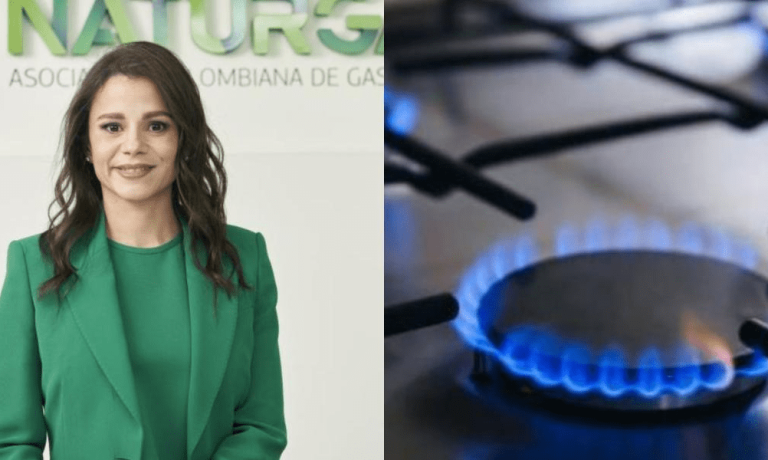 Presidenta de Naturgas dice que a ‘partir del 1 de diciembre de este año comenzará un déficit de gas natural’ Presidenta de Naturgas dice que a 'partir del 1 de diciembre de este año comenzará un déficit de gas natural'