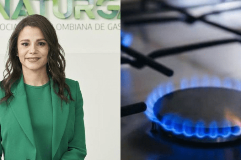 Presidenta de Naturgas dice que a 'partir del 1 de diciembre de este año comenzará un déficit de gas natural'