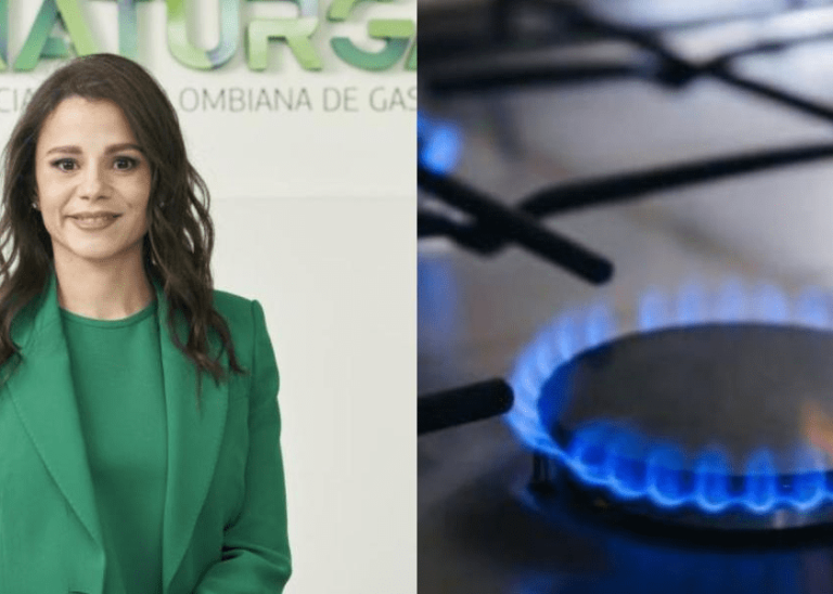 Presidenta de Naturgas dice que a 'partir del 1 de diciembre de este año comenzará un déficit de gas natural'