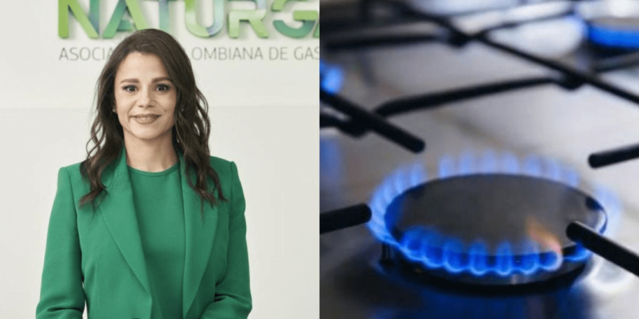 Presidenta de Naturgas dice que a ‘partir del 1 de diciembre de este año comenzará un déficit de gas natural’ Presidenta de Naturgas dice que a 'partir del 1 de diciembre de este año comenzará un déficit de gas natural'