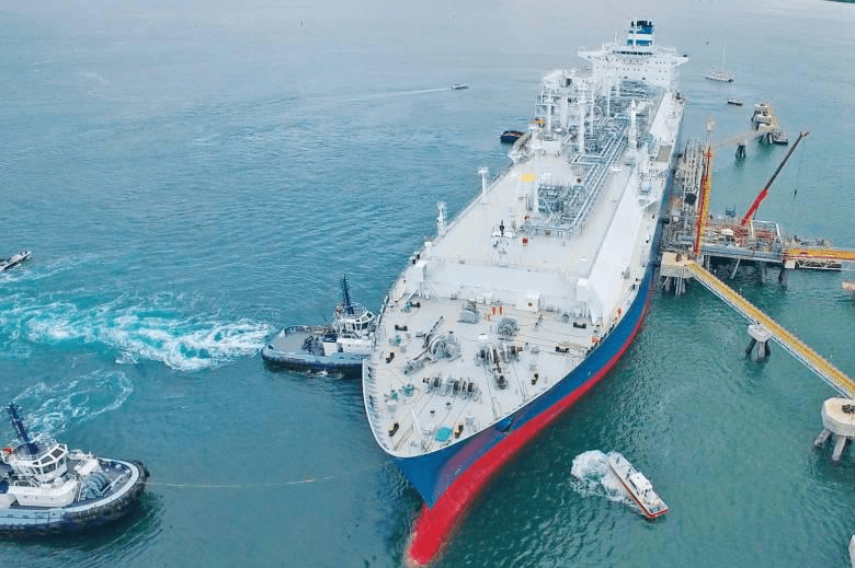 imagen_2024-11-06_011921504