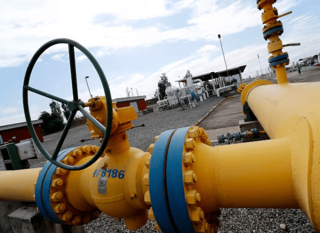 imagen_2024-11-06_014643073