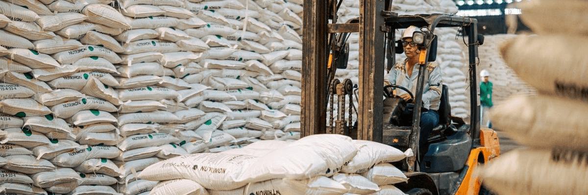 imagen_2024-11-14_232659630