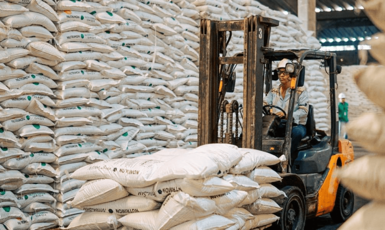 imagen_2024-11-14_232659630