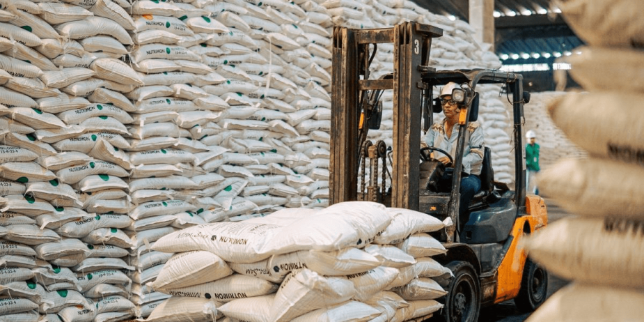 imagen_2024-11-14_232659630