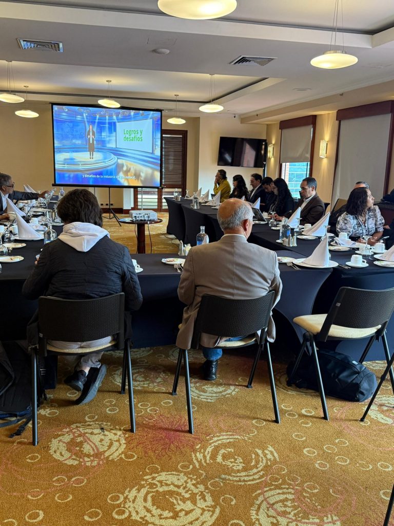 Gas natural en Colombia: cifras 2024