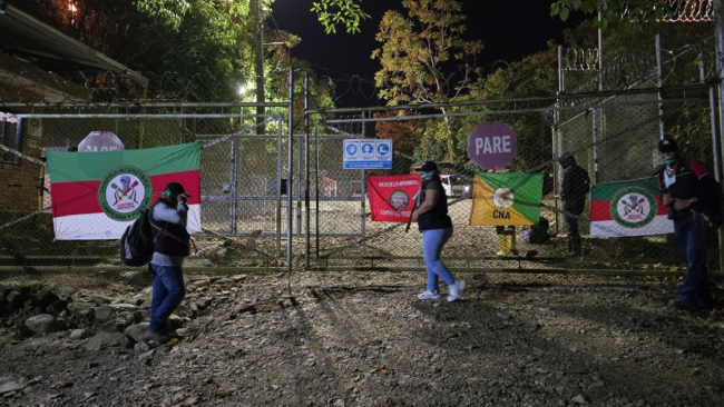 imagen_2024-12-02_112746658