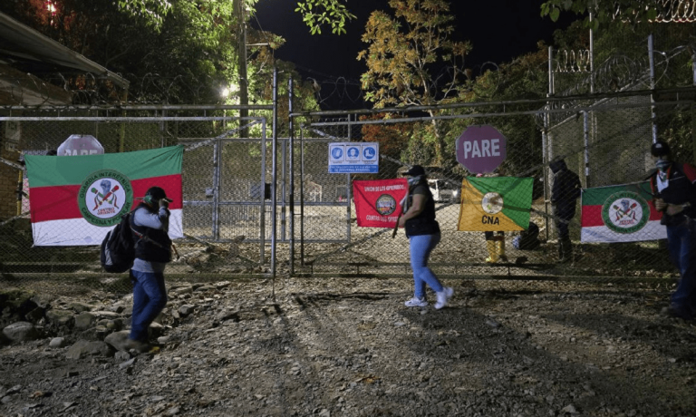 imagen_2024-12-02_112746658