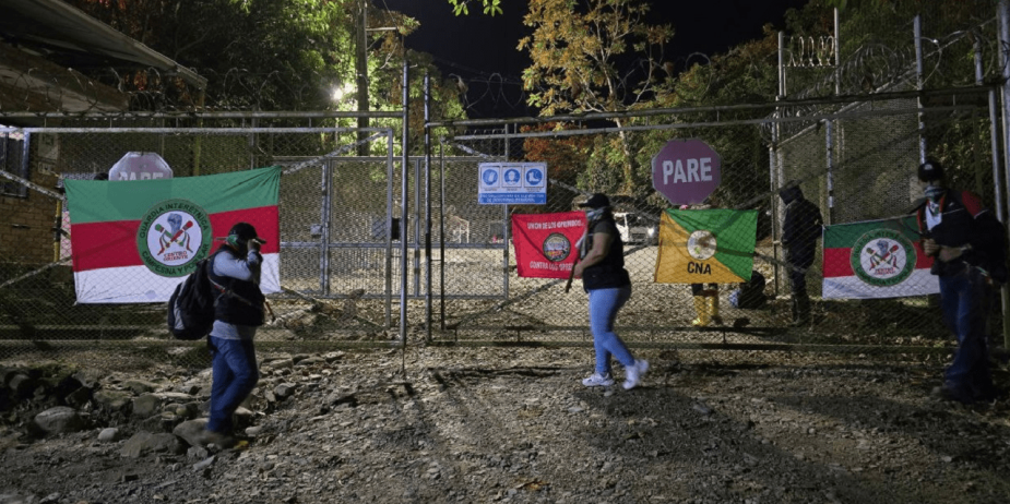 imagen_2024-12-02_112746658