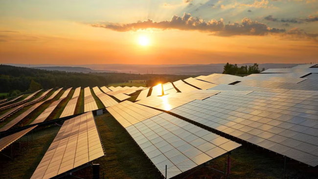 imagen_2024-12-02_113136375