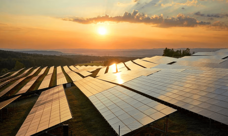 imagen_2024-12-02_113136375